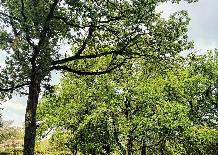 招待所 Mont Joly Soumont-Saint-Quentin